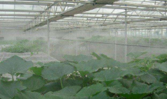花卉园艺温室大棚喷雾设备加湿造雾系统