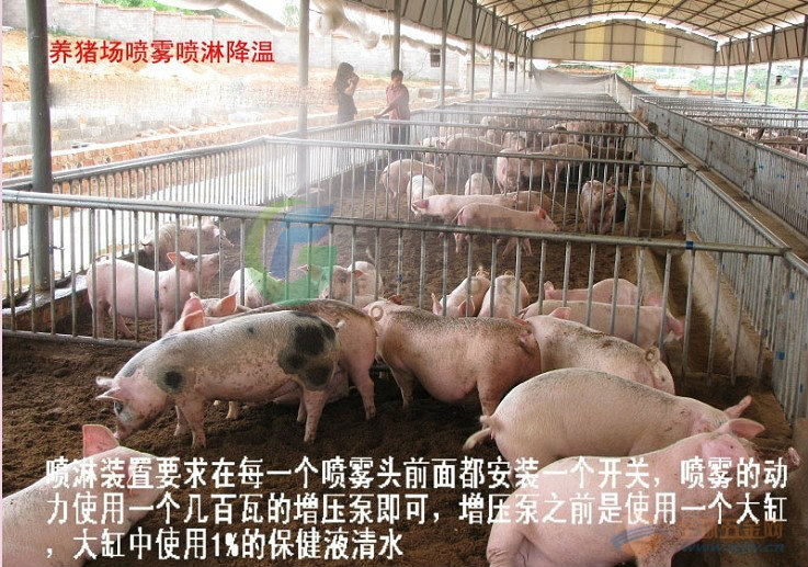 养猪场喷雾降温设备