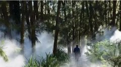 菲格朗人造雾森系统唯美之境,漫享“森”呼吸
