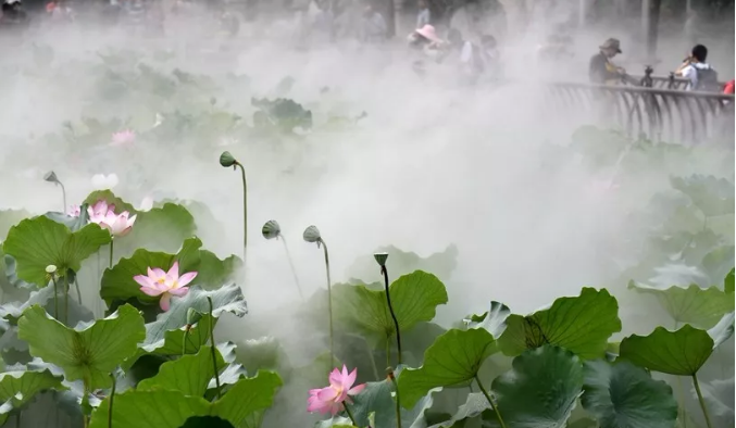 人造雾
